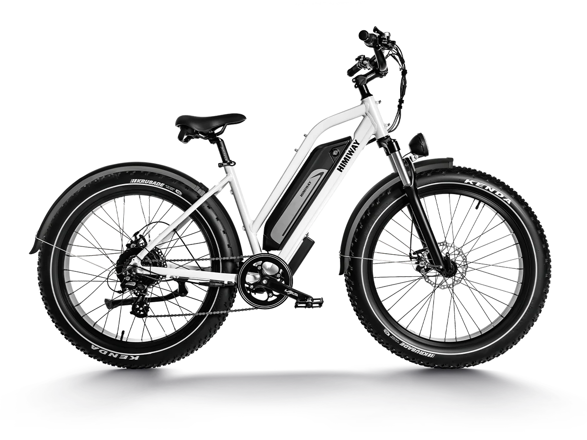 Himiway D3 ST (Cruiser ST) | All Terrain Step Thru Electric Bike | 750W Brushless Gear Motor | LCD Display With USB Charging