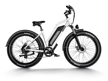 Himiway D3 ST (Cruiser ST) | All Terrain Step Thru Electric Bike | 750W Brushless Gear Motor | LCD Display With USB Charging