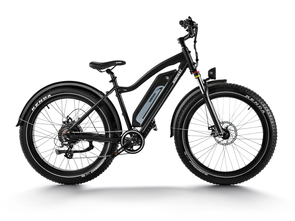 Himiway D3 (Cruiser) | Long Range Fat Tire Electric Bike | Range 35~60 Miles | Heavy-Duty Aluminium Kickstand