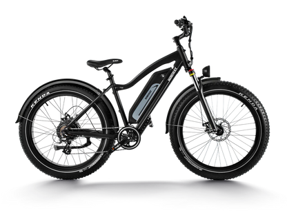 Himiway D3 (Cruiser) | Long Range Fat Tire Electric Bike | Range 35~60 Miles | Heavy-Duty Aluminium Kickstand