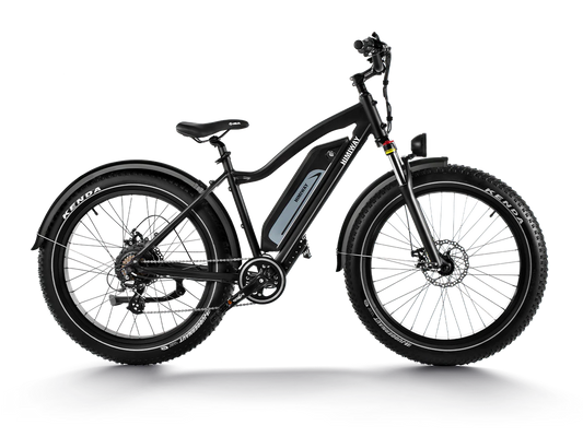 Himiway D3 (Cruiser) | Long Range Fat Tire Electric Bike | Range 35~60 Miles | Heavy-Duty Aluminium Kickstand