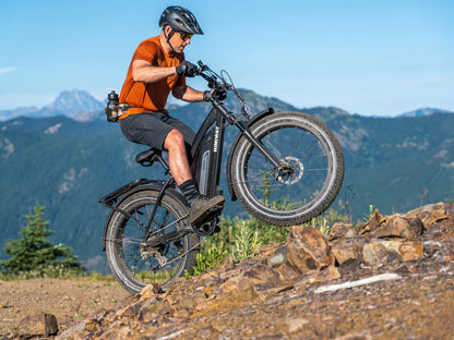 Himiway D3 (Cruiser) | Long Range Fat Tire Electric Bike | Range 35~60 Miles | Heavy-Duty Aluminium Kickstand