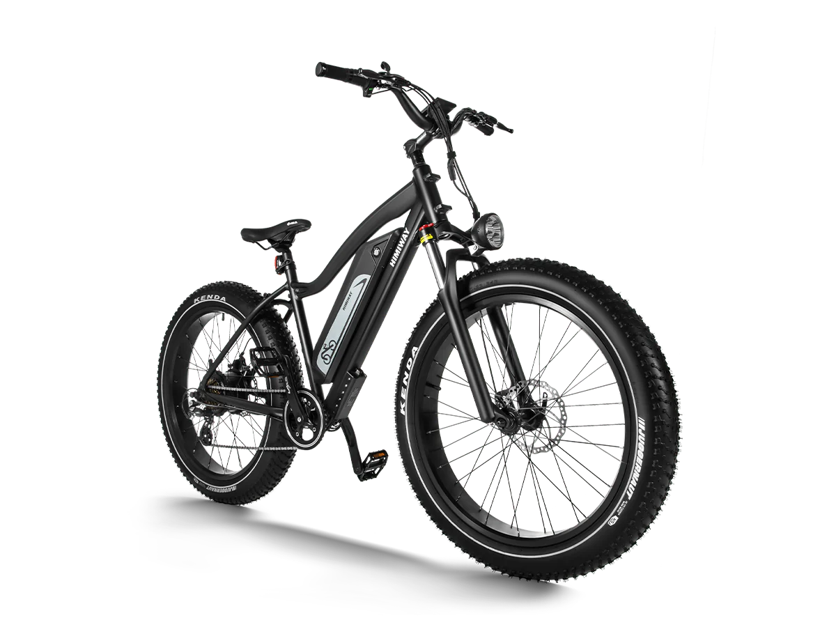 Himiway D3 (Cruiser) | Long Range Fat Tire Electric Bike | Range 35~60 Miles | Heavy-Duty Aluminium Kickstand