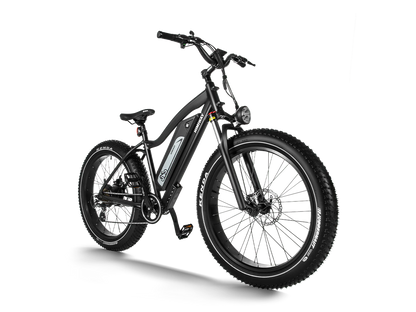 Himiway D3 (Cruiser) | Long Range Fat Tire Electric Bike | Range 35~60 Miles | Heavy-Duty Aluminium Kickstand