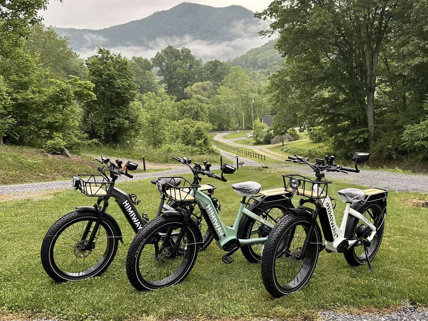 Himiway D5 ST (Zebra ST) | Premium All-terrain Electric Fat Bike | 500W Mid-Drive Motor | 60-80 Miles Per Charge
