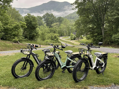 Himiway D5 ST (Zebra ST) | Premium All-terrain Electric Fat Bike | 500W Mid-Drive Motor | 60-80 Miles Per Charge
