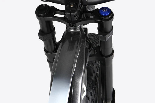 Himiway | Electric Bike | Model D7 Pro Mountain | 1000 W Mid-Drive Motor (1.34 HP) | 26 x 4.0” Fat Tires | 60 To 80 Mile Range | 400 lb Payload | 160 Nm Torque | For Extreme Trail & Backcountry Riding