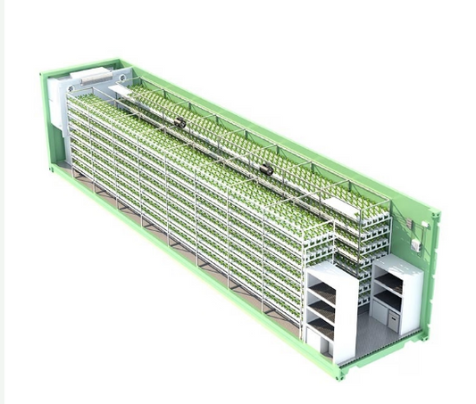 Lyine Hydroponic NFT Container Farming | 220V/380V | Plant Quantity 3600-6000