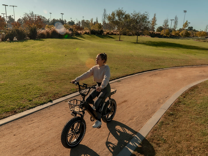 Himiway Escape Pro | Long Range Moped-Style Electric Bike | 750W Motor | 48V Battery