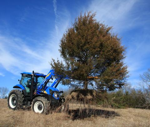 Danuser | Intimidator Tree Puller | Model 12201T | 34" Jaw Opening | Horsepower 125 HP | For Tractor