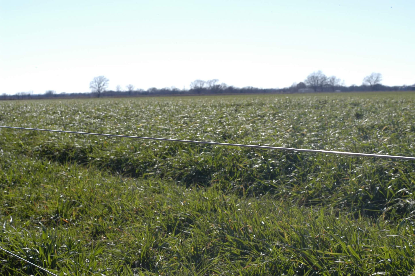 OKBRAND Electric Fence Wire | 266-0 | 14 Gauge | 1/4-Mile | Galvanized Wire For Fencing