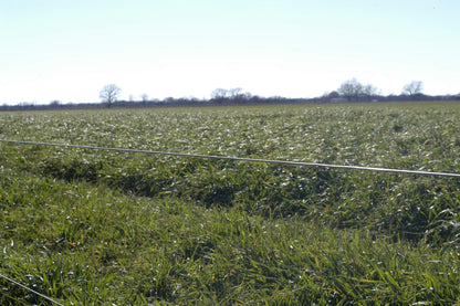 OKBRAND Electric Fence Wire | 266-0 | 14 Gauge | 1/4-Mile | Galvanized Wire For Fencing