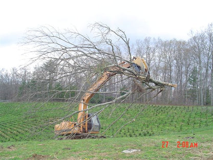 IS ATTACHMENT AR400 STEEL TREE STUMPER FOR 24000 TO 60000 LB EXCAVATOR