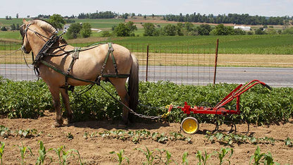 I&J Walk-Behind Pony /Goat Garden Cultivator | 3‑Shank & 5‑Shank | 5-10 HP | For Tractors & Horse-Drawns