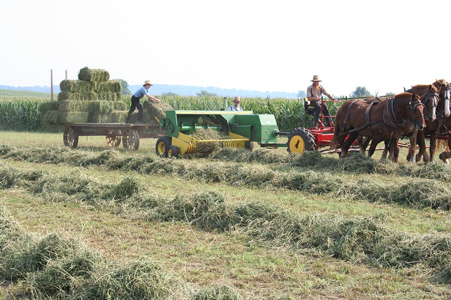 I&J Forecarts | Standard & Heavy Duty | Length 66" & 72" | Width 60" | For Horse-Drawn Implement