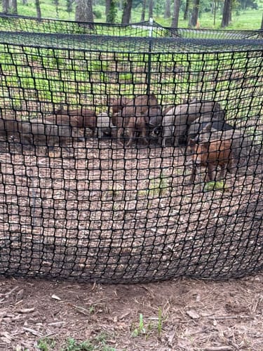 Pig Brig Portable Multi-Catch Wild Hog Trap | Size 20' | Double-Wall Hog Trap Net | Multi-Catch Wild Boar Control