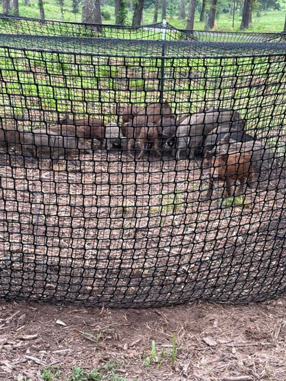 Pig Brig Portable Multi-Catch Wild Hog Trap | Size 20' | Double-Wall Hog Trap Net | Multi-Catch Wild Boar Control