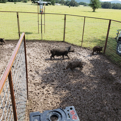 EGC Traps Basic Hog Trap System | 30' Diameter | 6' x 10' Reinforced Panels | Drop Gate & Man Gate | Custom Expandable Wild Hog Control