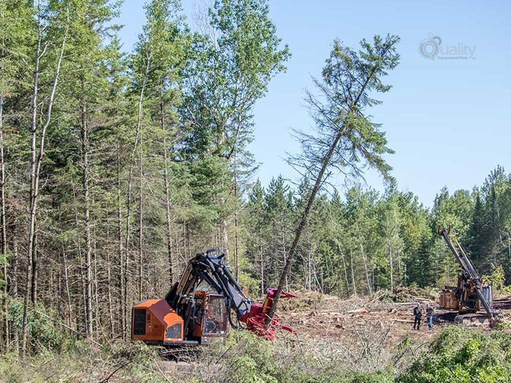 2024 BARKO 260BF | TRACK FELLER BUNCHER