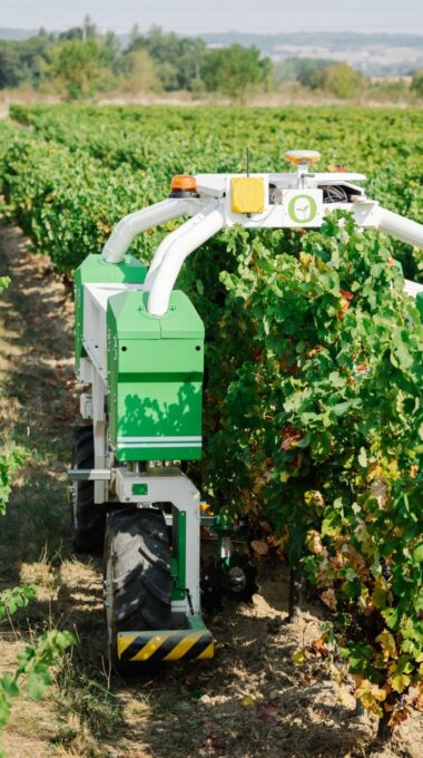 Naio Technologies Ted Vineyard Robot | Precision Mechanical Weeding | 100% Electric | Up to 5ha/day | GPS RTK Navigation