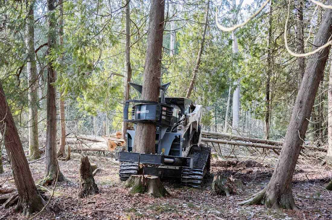 Baumalight | Horizontal Tree Shear | ISH918G | Limb Size 18" | Weight Class 7,000–18,000 lb. | Hydraulic Flow 20–70 GPM | For Skid Steers
