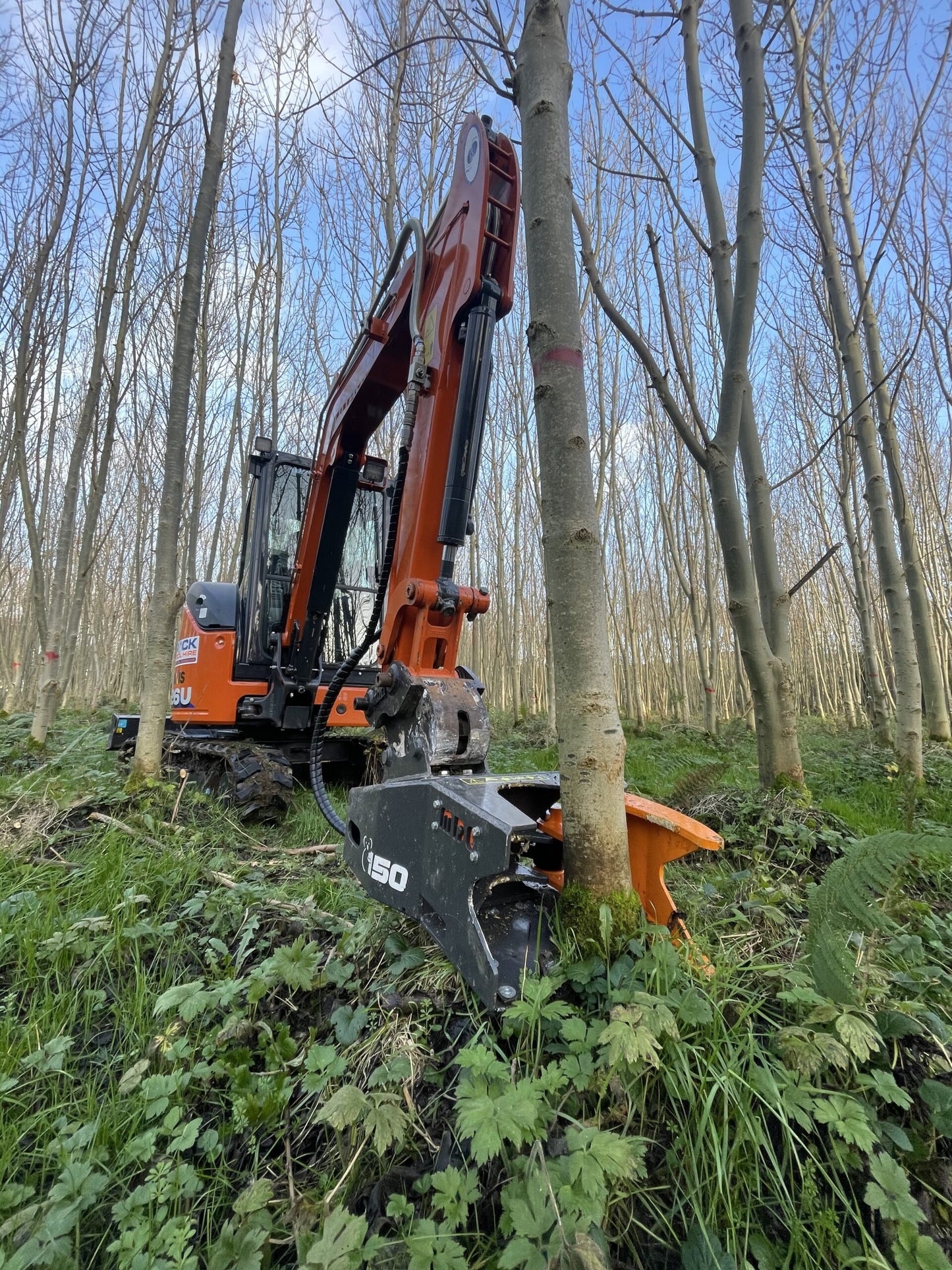 MDE Machinery | Tree Shear With Buncher | Model Koala 150T To Koala 550T | Cutting Capacity 6" To 21.5" Inches | Machine Size 1.5-40 Ton | For Excavator