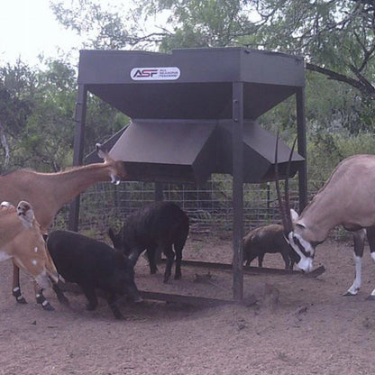 ASF Low Profile Protein Feeders | Capacity 2,000lb, 3,000lb & 4,500lb | Height 84", 91" & 100" inches