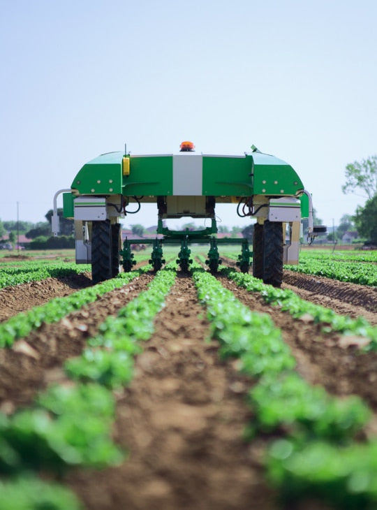 Naio Technologies Ted Vineyard Robot | Precision Mechanical Weeding | 100% Electric | Up to 5ha/day | GPS RTK Navigation