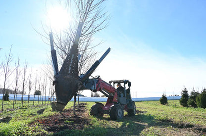 Baumalight Industrial Tree Spade | Model DR-448 | Width 48" | Opening Width 30" | Hydraulic Flow 10–35 GPM | For Skid Steers