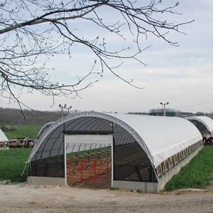 FarmTek 38' Super Moo-Tel Livestock Housing Building System – Durable, Versatile Shelter For Livestock and Storage