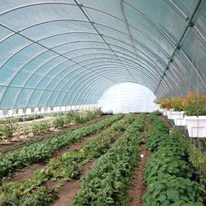 FarmTek GrowSpan 14'W Round Premium Extra Tall Tunnel Greenhouse System