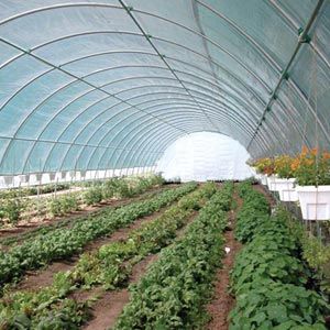 FarmTek GrowSpan 30'W Round Premium Extra Tall Tunnel Greenhouse System | 12' Height | Enhanced Crop Yield & Quality