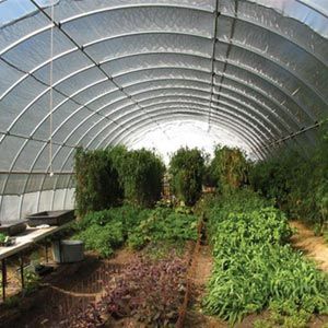 FarmTek GrowSpan 30'W Round Premium Extra Tall Tunnel Greenhouse System