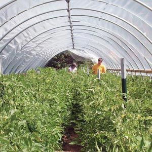 FarmTek GrowSpan Round High Tunnel Greenhouse System