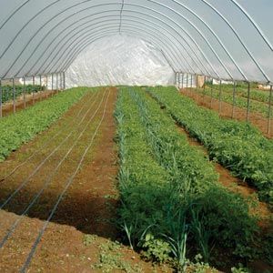 FarmTek GrowSpan Single Bay Tunnel Greenhouse System