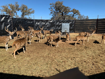 EGC Traps Exotic Traps | Corral Trap System | 48' Diameter | 8' Tall Panels | 2 Gates & 13 Panels | Camera Monitoring | Wildlife & Feral Hog Management