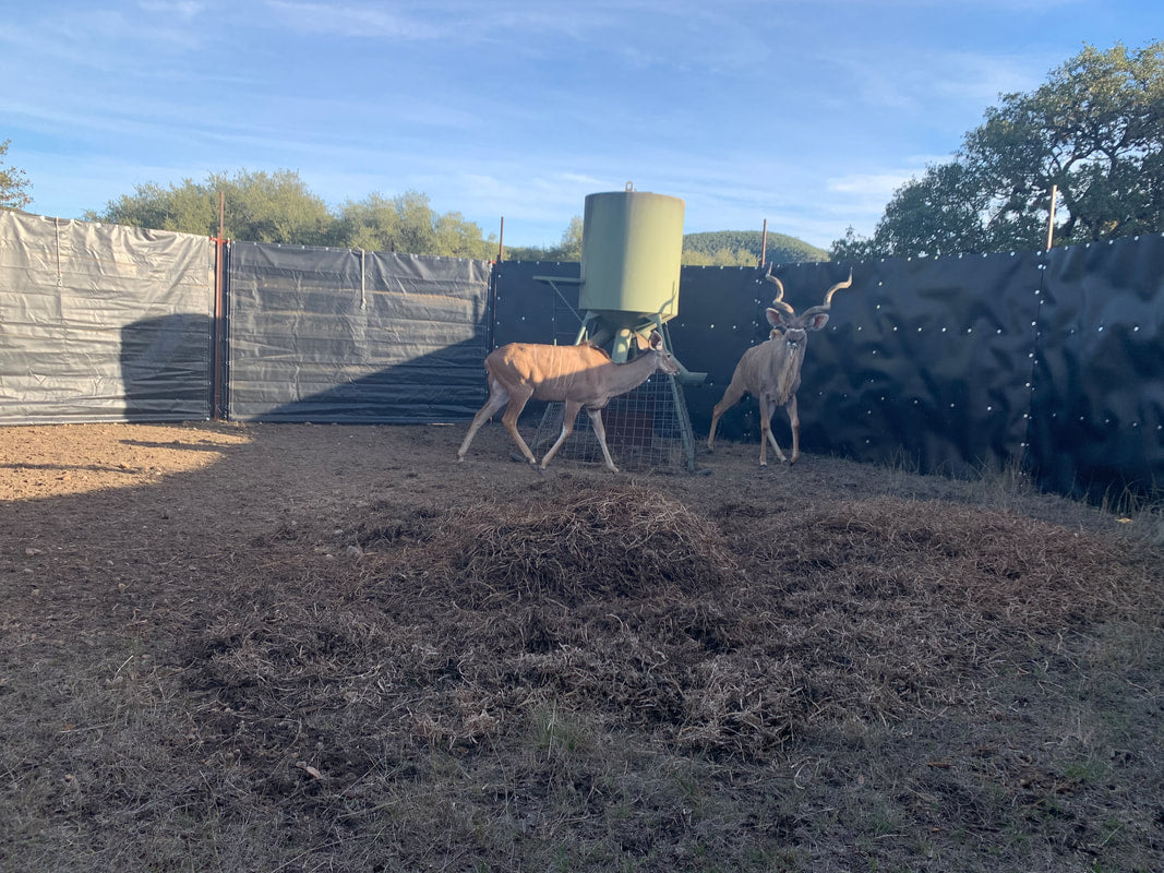 EGC Traps Exotic Traps | Corral Trap System | 48' Diameter | 8' Tall Panels | 2 Gates & 13 Panels | Camera Monitoring | Wildlife & Feral Hog Management