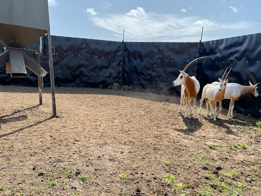 EGC Traps Exotic Traps | Corral Trap System | 48' Diameter | 8' Tall Panels | 2 Gates & 13 Panels | Camera Monitoring | Wildlife & Feral Hog Management