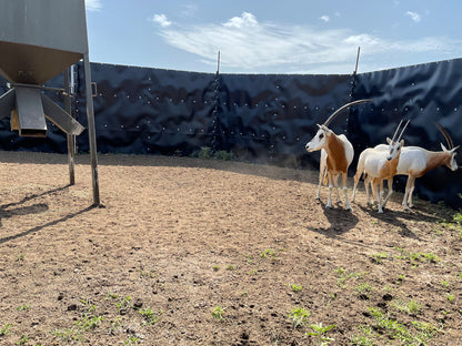 EGC Traps Exotic Traps | Corral Trap System | 48' Diameter | 8' Tall Panels | 2 Gates & 13 Panels | Camera Monitoring | Wildlife & Feral Hog Management