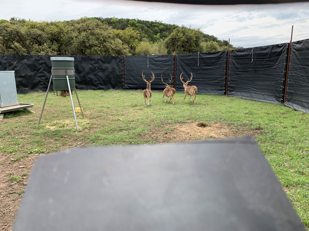 EGC Traps Exotic Traps | Corral Trap System | 48' Diameter | 8' Tall Panels | 2 Gates & 13 Panels | Camera Monitoring | Wildlife & Feral Hog Management
