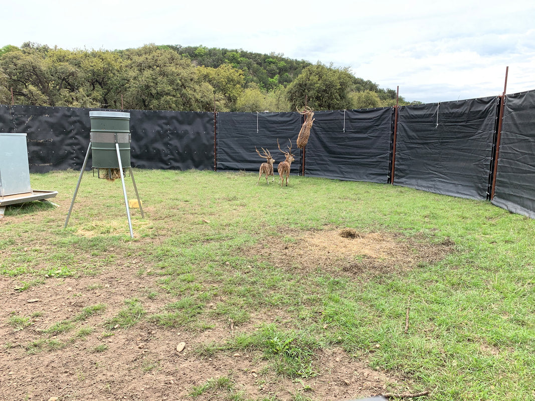 EGC Traps Exotic Traps | Corral Trap System | 48' Diameter | 8' Tall Panels | 2 Gates & 13 Panels | Camera Monitoring | Wildlife & Feral Hog Management