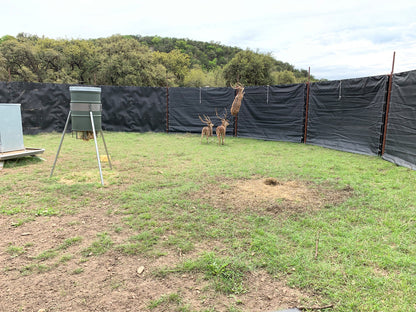 EGC Traps Exotic Traps | Corral Trap System | 48' Diameter | 8' Tall Panels | 2 Gates & 13 Panels | Camera Monitoring | Wildlife & Feral Hog Management