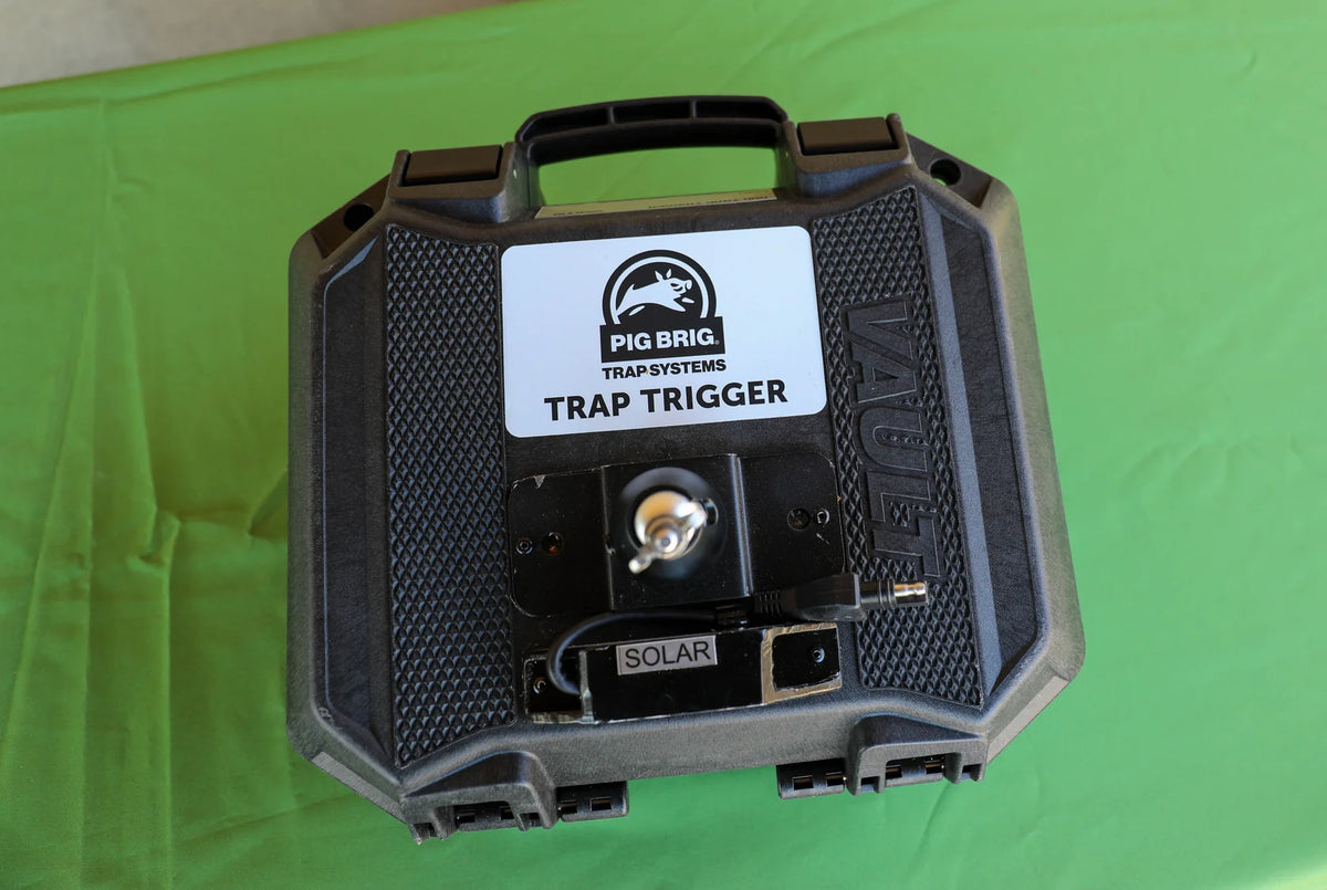 Pig Brig Brig Baiter Remote High-Volume Feeder | 100 lb Capacity
