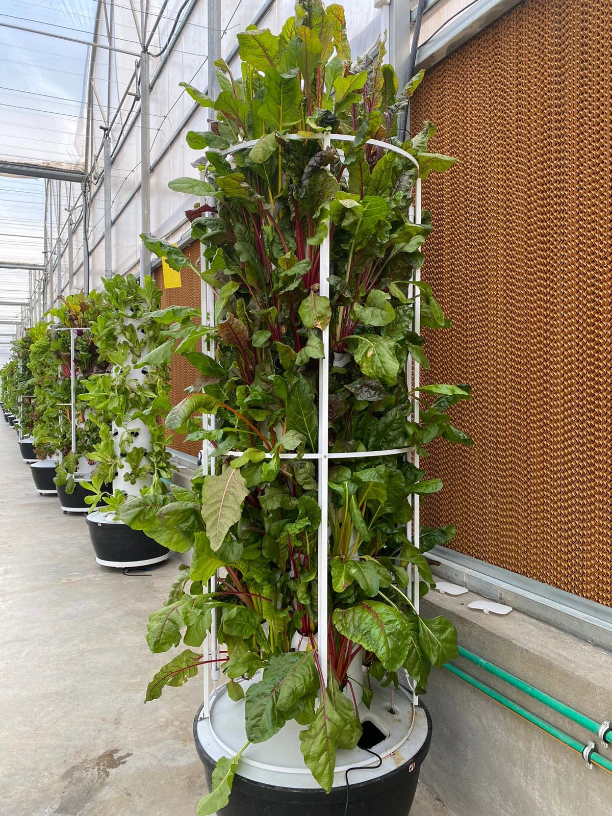Lyine Vertical Hydroponic Tower | Model 4P6 Touchscreen Version | Height 61" | 24 Plant Sites | For Indoor Growing System