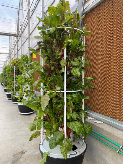 Lyine Vertical Hydroponic Tower | Model 4P6 Touchscreen Version | Height 61" | 24 Plant Sites | For Indoor Growing System
