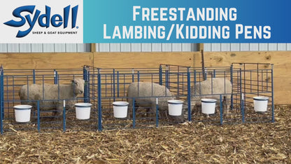 Sydell Freestanding Starter Pen | #0112A | 6' Width | For Sheep & Goat Lambing & Kidding