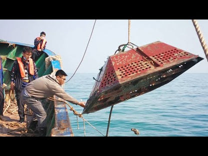 CHASING M2 ROV | Professional Underwater Drone with a 4K UHD Camera