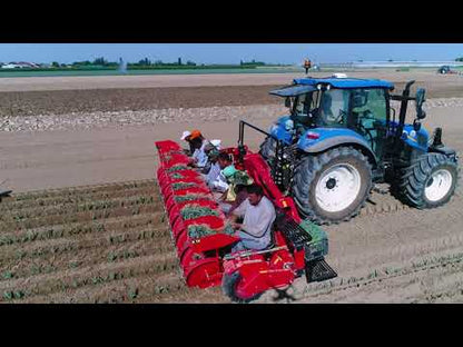 Checchi & Magli Transplanter Foxdrive R-14 | Inter-Plants Spacing 9-12 cm | 20-65 HP For Tractors