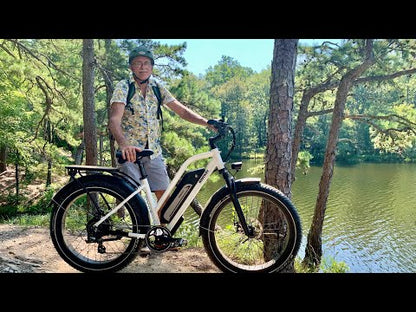 Himiway D3 ST (Cruiser ST) | All Terrain Step Thru Electric Bike | 750W Brushless Gear Motor | LCD Display With USB Charging