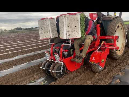 Checchi & Magli Transplanter WOLFPRO | 1-6 Rows | 79"-158" Frame Width | 19-70 HP For Tractor